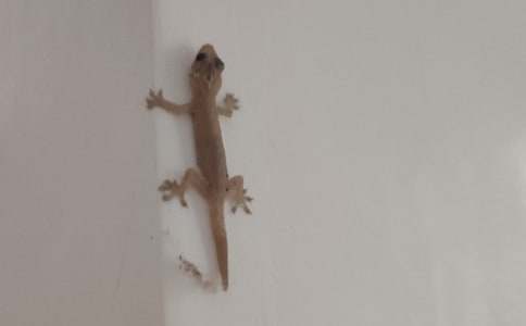 С�ڻ���β�ͽ̰��OӋ