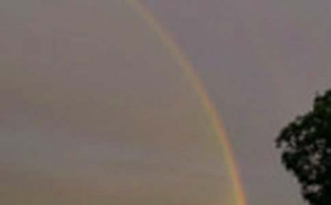 ���ʺ������x���