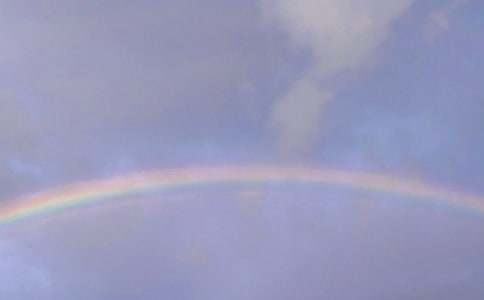 �ʺ����x���