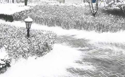 �x�����L�Ķ������и�