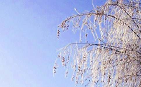 ���ϵĶ������꼉�̰��OӋ