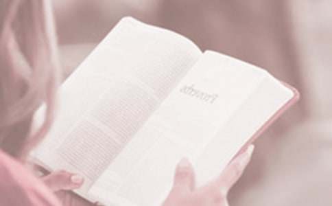 �����x�����������v