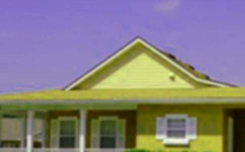 С����С�����x���12ƪ