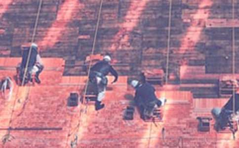 �����x���������،�(sh��)��(x��)��(b��o)��3ƪ