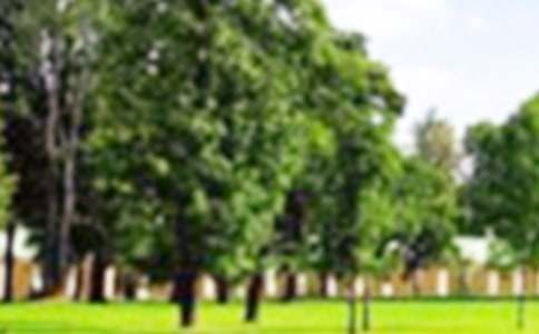 ��ͤ�ֹ��@���ģ����x6ƪ��