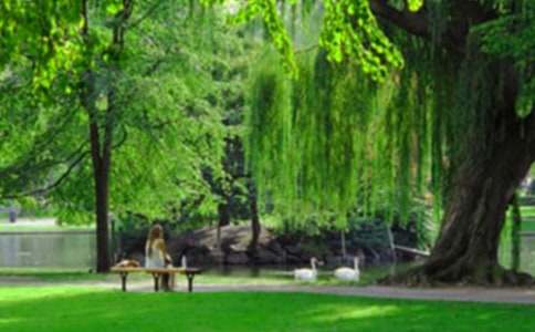 (����)������ӛ���@����