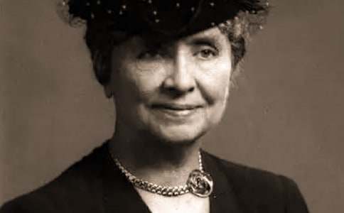 �����P���x���