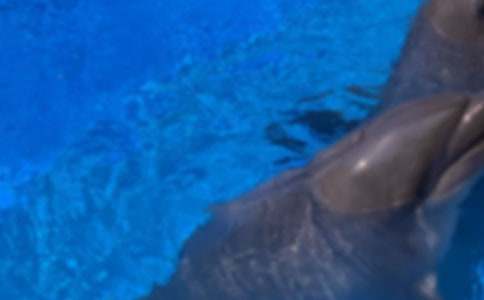 ���{ɫ�ĺ����u���x���15ƪ