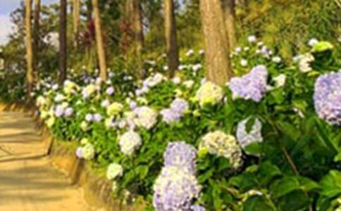 �����˵Ļ��@���̌W(xu��)�O(sh��)Ӌ(j��)��ͨ��6ƪ��