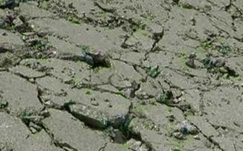 �������ڄպ�ͬ��ģ��