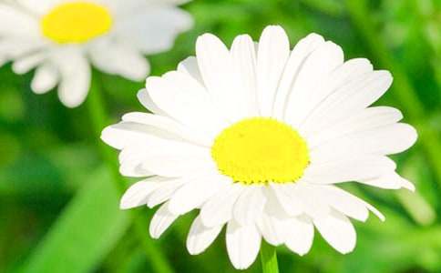 �ջ��b�������s�������˵��İ��\��