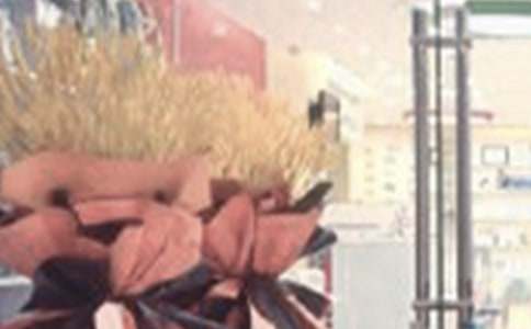 �̈��_�I�V����