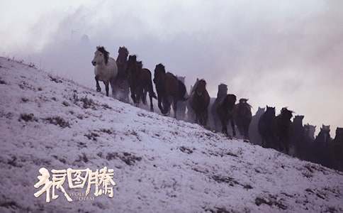 �ǈD�v�x���Pӛ�����x25ƪ��