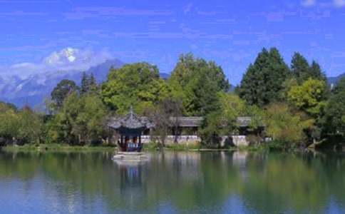 �����ų����θ���