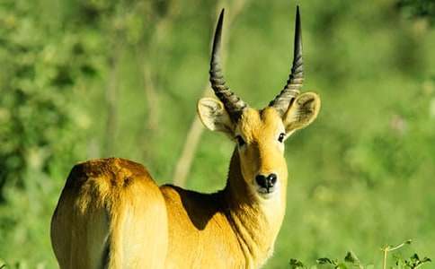 [��]����ľ���x���