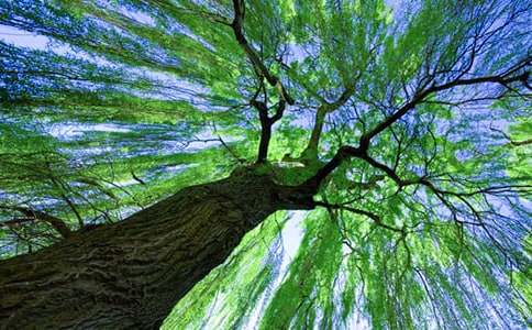 ���ˇ�g��ӽ̰���������ͨ��5ƪ��