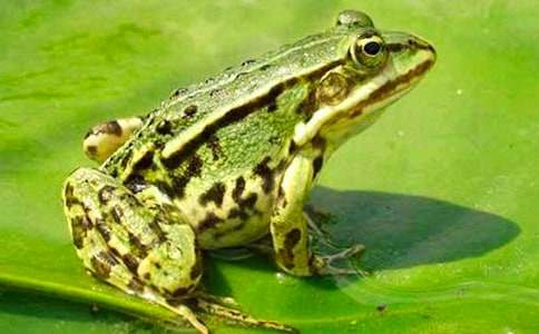 �а�ˇ�g�̰���С������������