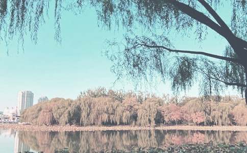 С���＾��ͨ��ȫ���}�̰������x12ƪ��