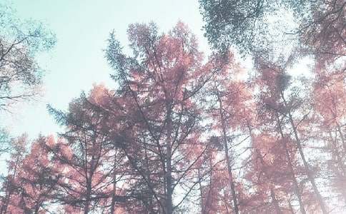 ���õ��＾����Ӌ��ģ�弯��ʮƪ