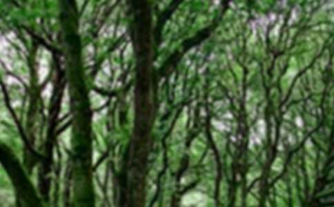 ɭ�ֈ��x���