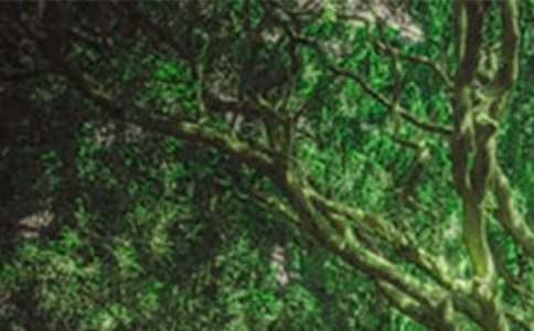 ɭ�ֈ��x��о��x15ƪ