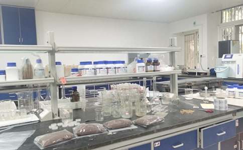 �������Ӗ�ĵ��w������