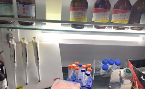 �����ҹ������Y�R��15ƪ