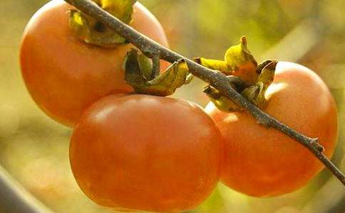 �＾�����ӵ������f(shu��)�f(shu��) �ֵ��˳����Ӽ���(ji��)���İ�