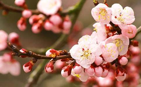 �һ�������300����ƪ