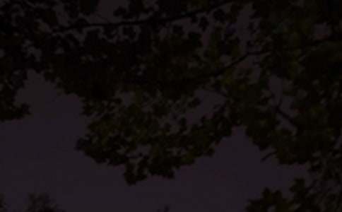 ���T��������ף���Z��ͨ��135�䣩