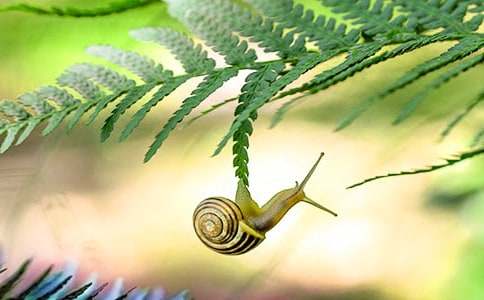 ��С΁ţ���̌W�OӋ