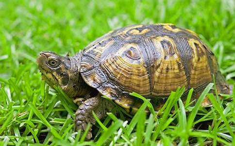 С��ˇ�g�̰�������