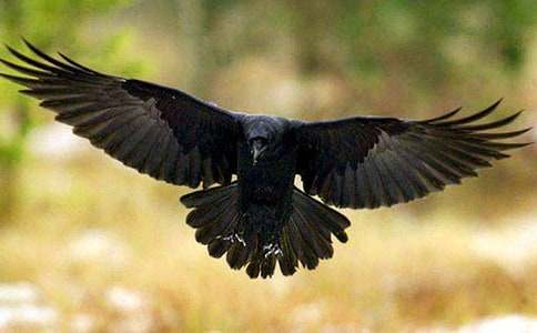 [���A]�����f��ˮ���u�n��13ƪ