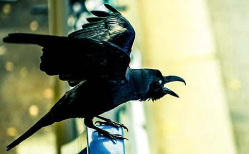 [�ϼ�]�����f��ˮ���u�n��