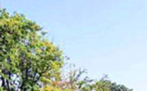 ��ܰ�簲�İ�50�侫�x