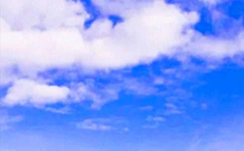 �����簲�İ�50��