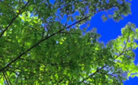 ��ܰ�簲ף���Z70��