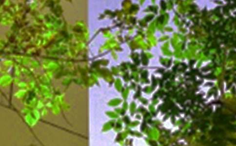 �P���������簲�İ��R�������x90�䣩