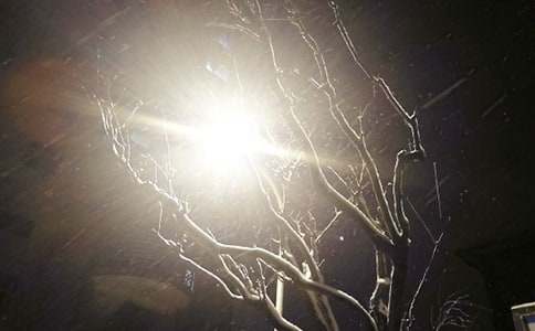 �P�ڶ�����ѩ�ĺ����İ�