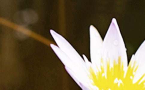 �P�������Ĺ���V�����