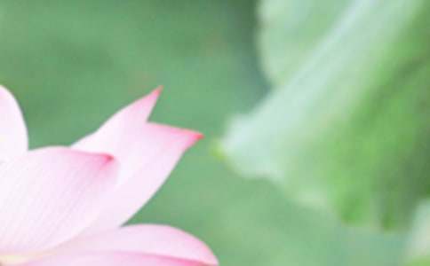 �̎������̰������x8ƪ��