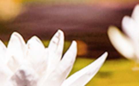 �ഺ���ˡ����x������δ�����и�