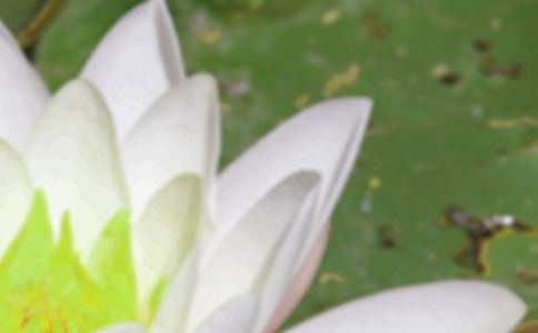 ������δ���������Z�