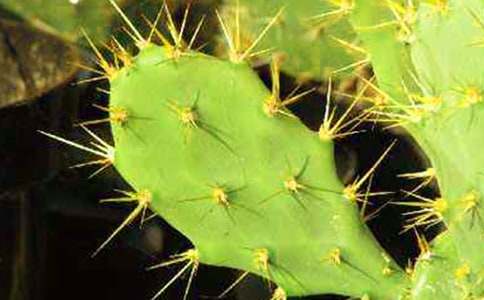 �а�ˇ�g�̰�������