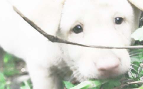 ����С����С�W����5ƪ