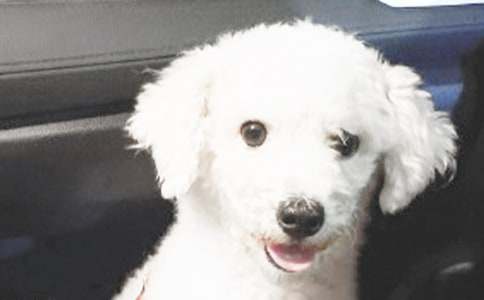 �ҵČ���С������15ƪ