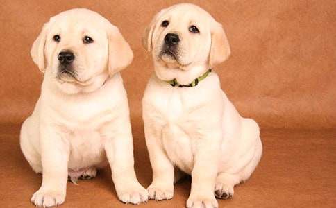 �ҵČ���С������13ƪ