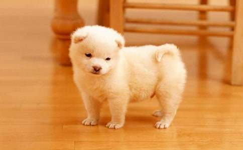 �ҵČ���С������14ƪ