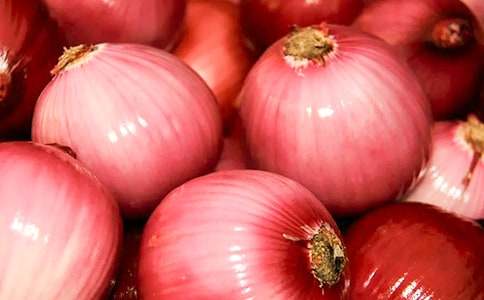 ���[�^�v�Uӛ�x���