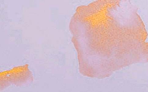 С��ˇ�g(sh��)���ϴ��̰�5ƪ